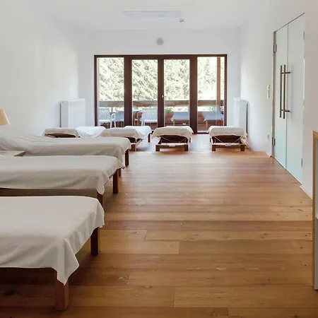 Apart Otel Wetzlgut 4*