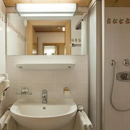 Wetzlgut Apart Otel Bad Gastein