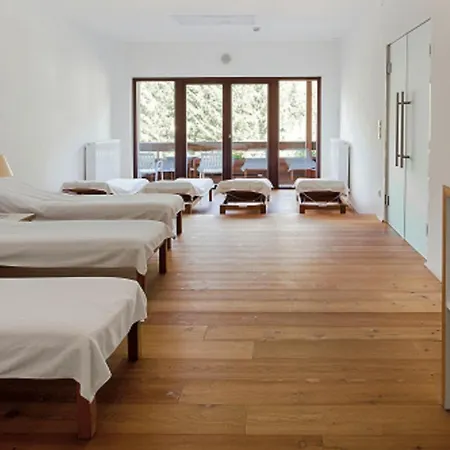 Apart Otel Wetzlgut 4*